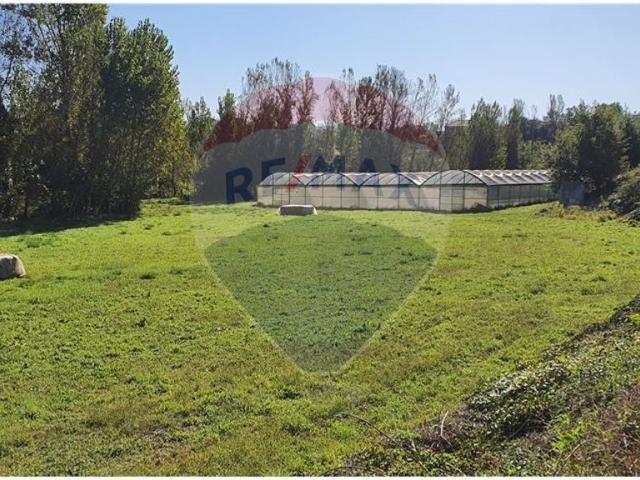 Terreno venda em Senhora do Alívio, Vila Verde
