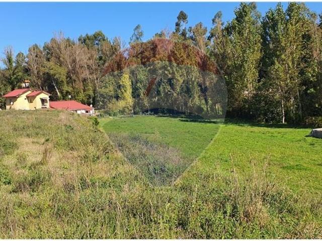 Terreno venda em Senhora do Alívio, Vila Verde