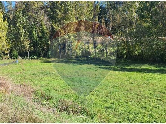 Terreno venda em Senhora do Alívio, Vila Verde