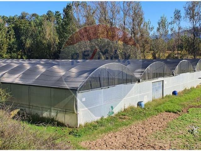 Terreno venda em Senhora do Alívio, Vila Verde