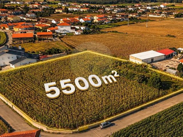 Terreno venda em Loureiro, Oliveira de Azeméis