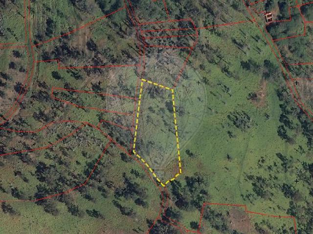 Terreno venda em Bogalheira, Peso da Régua