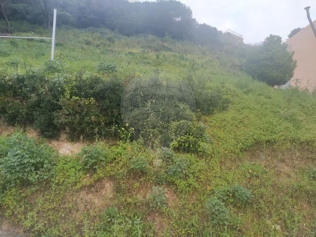 Terreno venda em Bairro Mira Loures, Santiago Dos Velhos