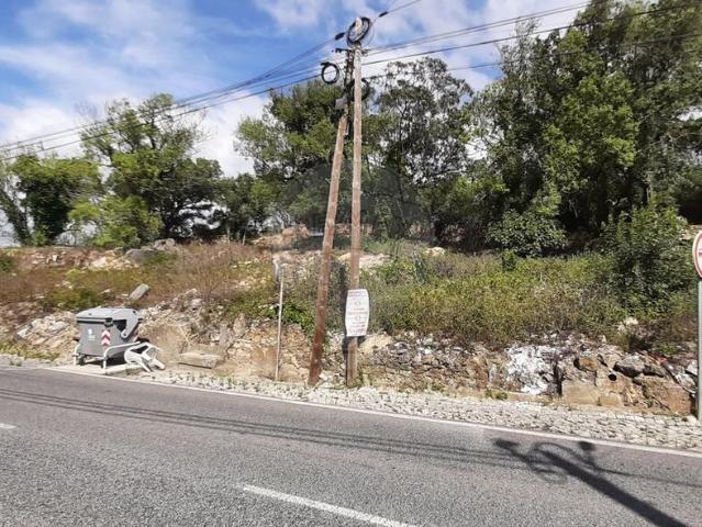 Terreno venda em Ribas de Baixo, Santiago Dos Velhos