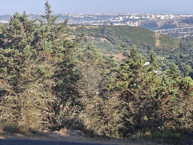 Terreno venda em Santiago Dos Velhos, Lisboa