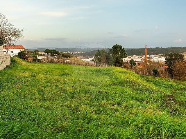 Terreno venda em Louriçal, Pombal
