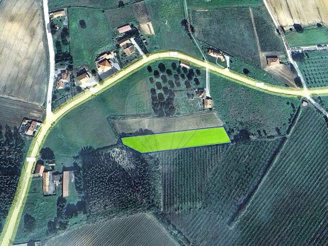 Terreno venda em Lourinhã, Lisboa