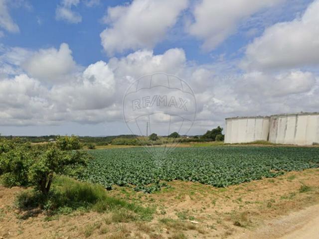 Terreno venda em São Bartolomeu dos Galegos e Moledo, Lourinhã