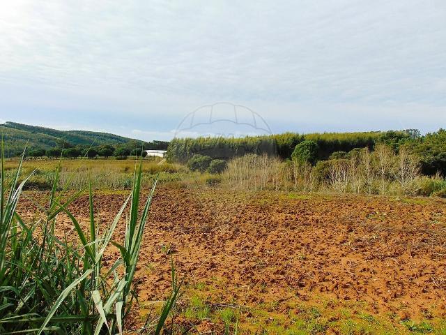 Terreno venda em Lourinhã