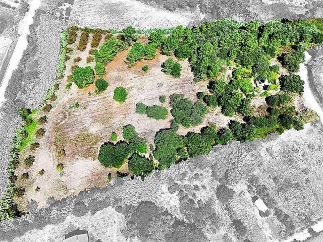 Terreno venda em Lourinhã
