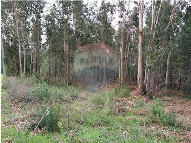 Terreno venda em Vale de Maceira, Lousã
