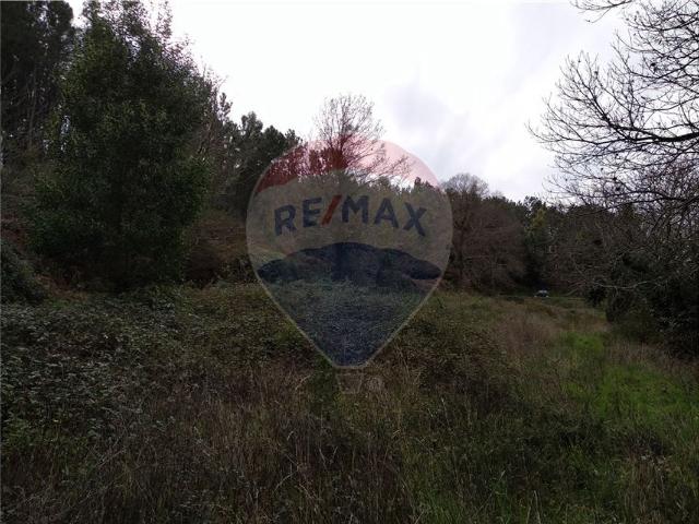 Terreno venda em Lousã, Coimbra