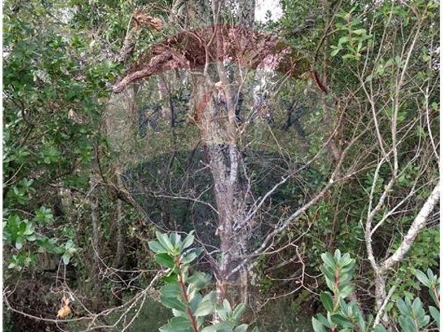 Terreno venda em Vale de Maceira, Lousã