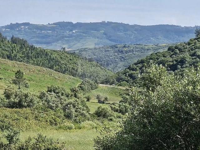 Terreno venda em Torneiro, Santiago Dos Velhos