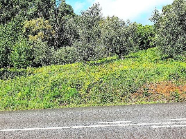 Terreno venda em Luso, Mealhada