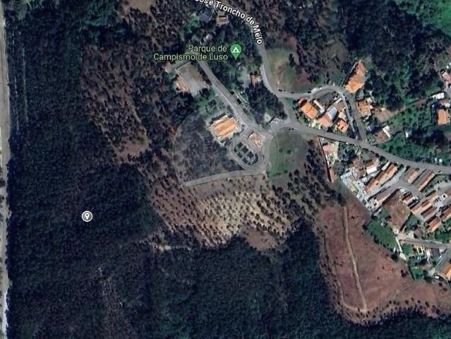 Terreno venda em Luso, Mealhada