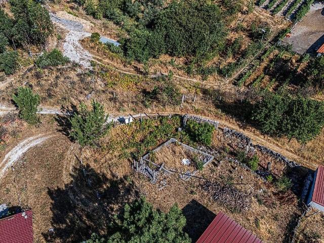 Terreno venda em Mões, Castro Daire