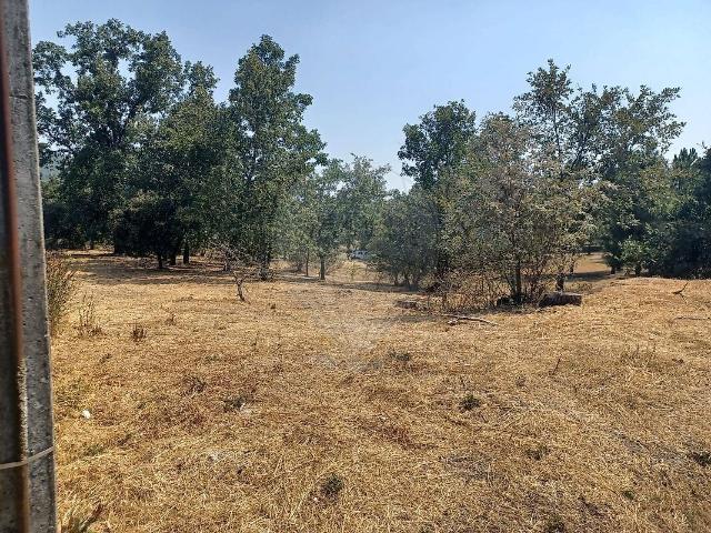 Terreno venda em Maçainhas, Belmonte