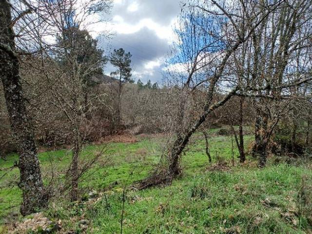 Terreno venda em Maçainhas, Belmonte