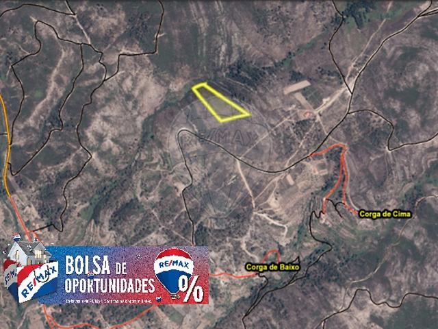 Terreno venda em Mação, Santarém