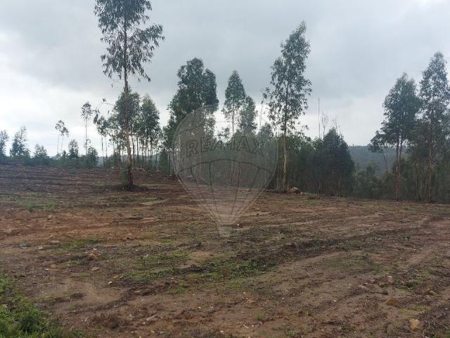 Terreno venda em Casal da Barba Pouca, Mação