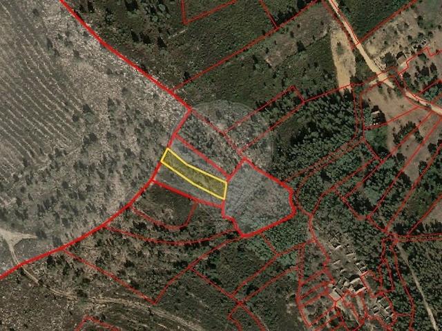 Terreno alugar em Mação, Penhascoso e Aboboreira, Mação