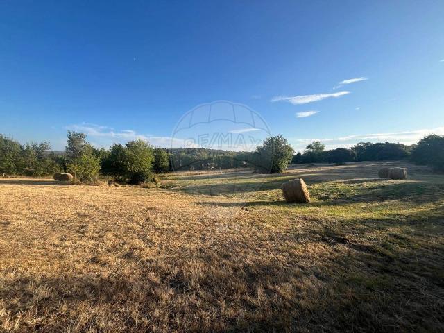 Terreno venda em Vinhas, Lamas