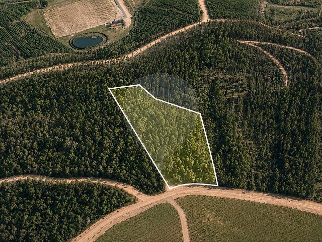 Terreno venda em Macieira da Lixa e Caramos, Felgueiras