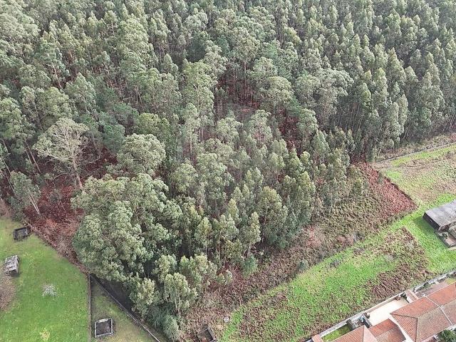 Terreno venda em Macieira da Lixa e Caramos, Felgueiras