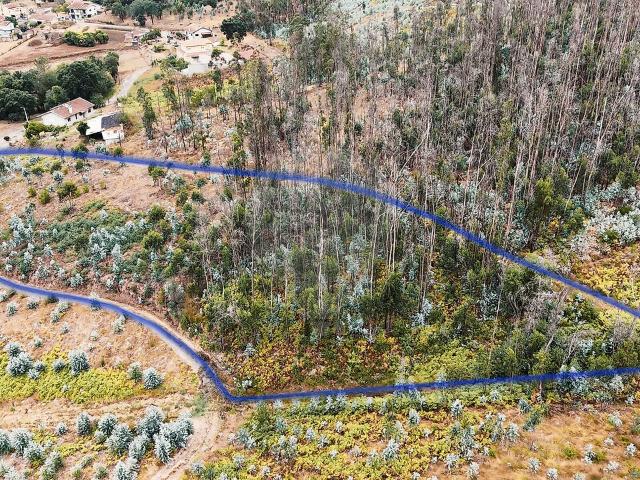 Terreno venda em Macinhata do Vouga, Águeda