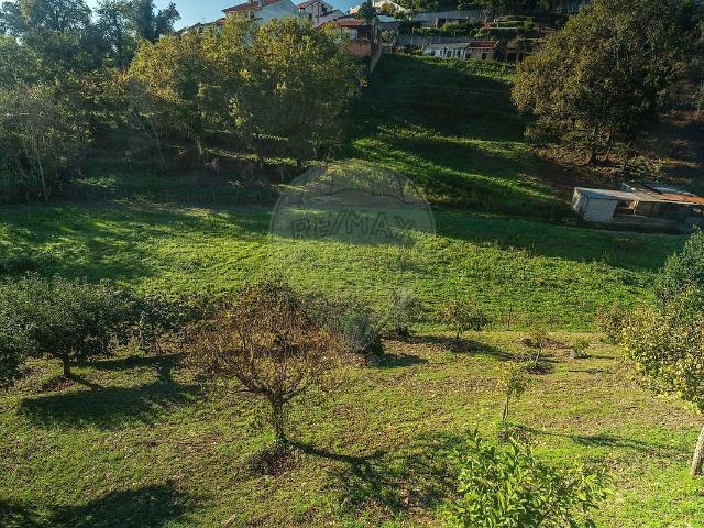 Terreno venda em Macinhata do Vouga, Águeda