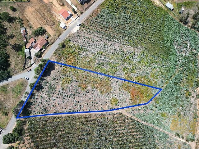 Terreno venda em Macinhata do Vouga, Águeda