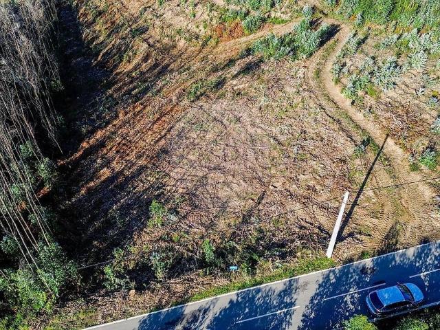 Terreno venda em Macinhata do Vouga, Águeda