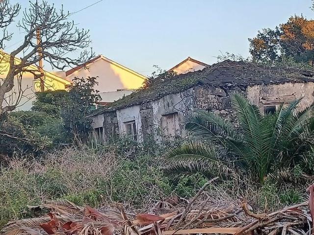 Terreno venda em Ribeira Seca, Calheta