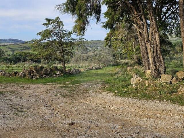 Terreno venda em Mafra, Lisboa