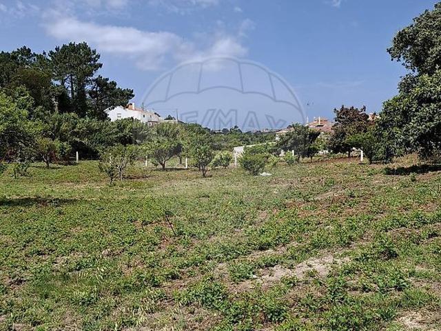 Terreno venda em Fonte Boa dos Nabos, Mafra