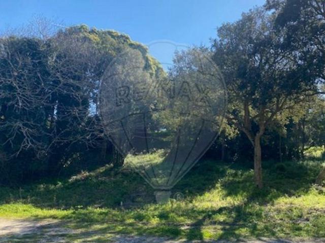 Terreno venda em Mafra, Lisboa
