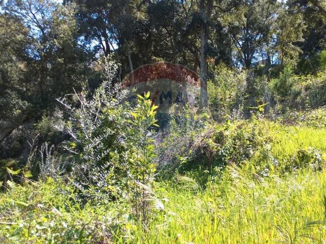 Terreno venda em Monchique, Faro
