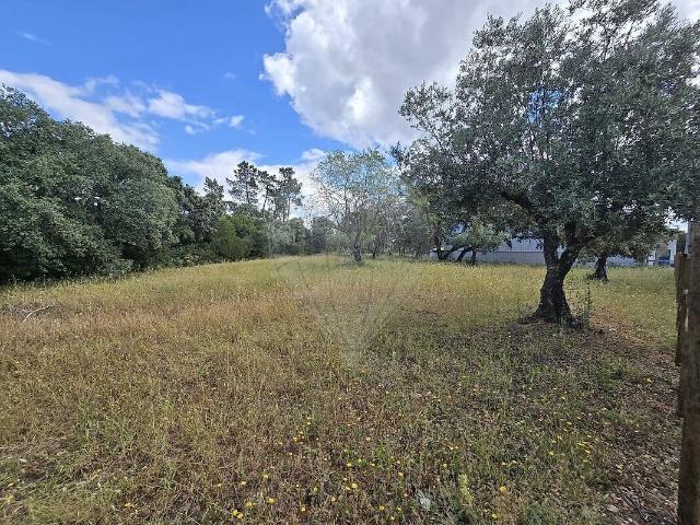 Terreno venda em Malhou, Louriceira e Espinheiro, Alcanena