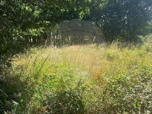 Terreno venda em Mamouros, Alva e Ribolhos, Castro Daire