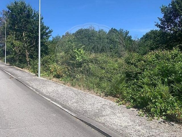 Terreno venda em Mamouros, Alva e Ribolhos, Castro Daire