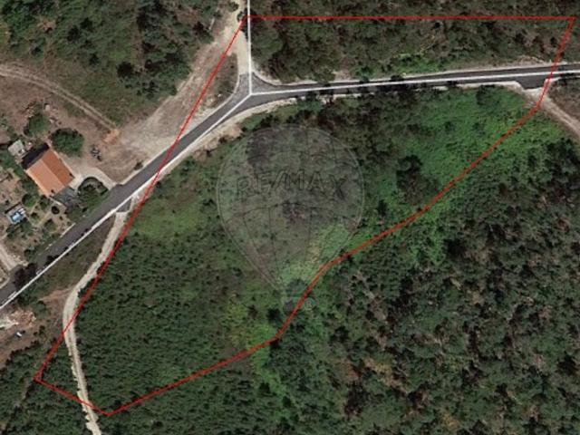 Terreno venda em Arganil, Folques