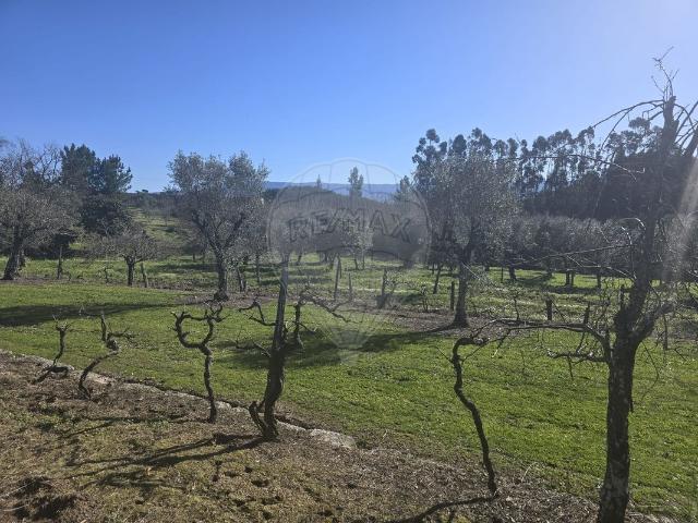 Terreno venda em Contenças de Baixo, Mourilhe