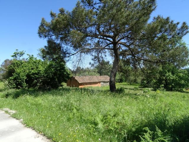 Terreno venda em Mourilhe, Viseu