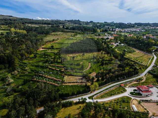 Quinta venda em Mourilhe, Viseu