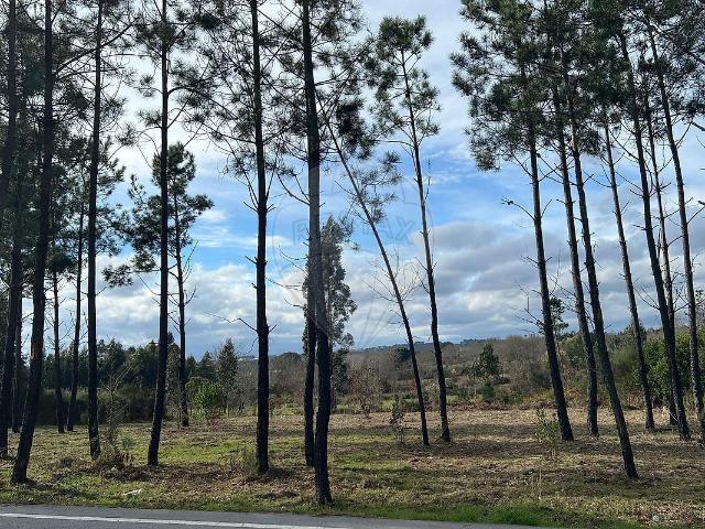 Terreno venda em Mangualde, Mesquitela e Cunha Alta, Mangualde