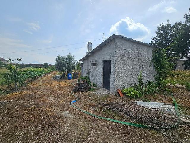 Terreno venda em Mangualde, Mesquitela e Cunha Alta, Mangualde