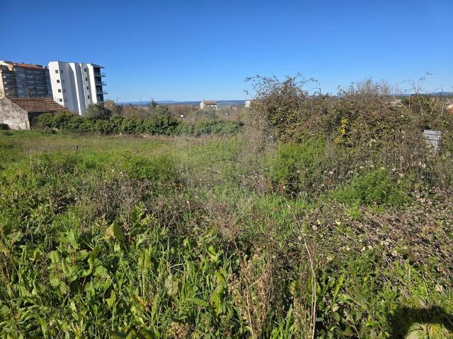 Terreno venda em Mangualde, Mesquitela e Cunha Alta, Mangualde