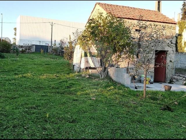 Terreno venda em Mangualde, Mesquitela e Cunha Alta, Mangualde