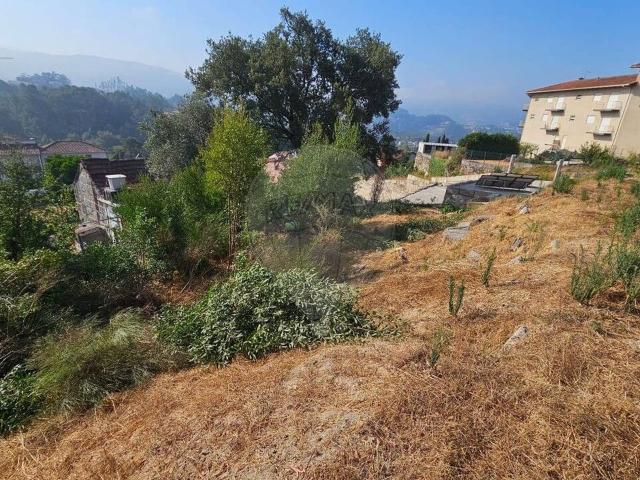 Terreno venda em Várzea, Porto
